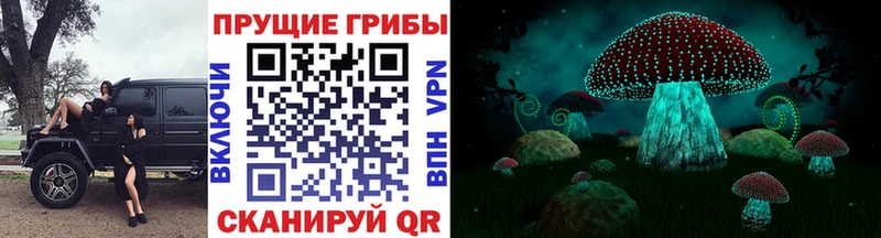 Псилоцибиновые грибы ЛСД  Купить где  Еманжелинск 